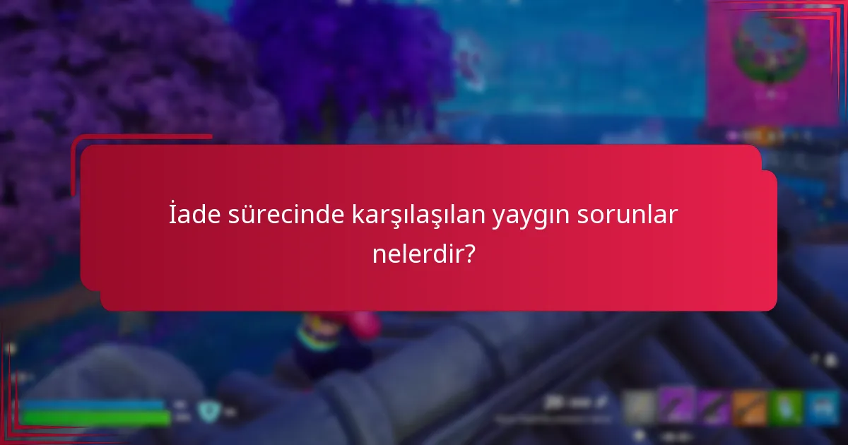 İade sürecinde karşılaşılan yaygın sorunlar nelerdir?